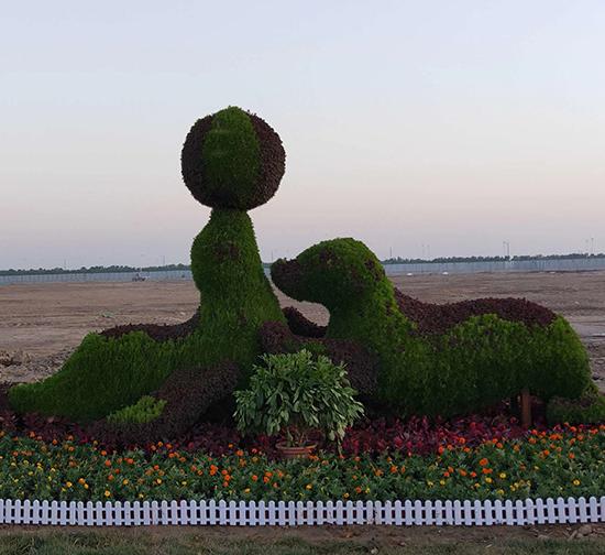 河北专业菊花造型制作