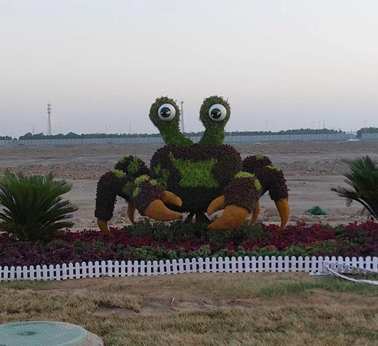 赤峰五色草动物造型